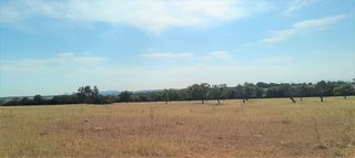 Terreno en venta en Manacor Centro en Manacor