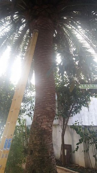 Piso en venta en Centro en Cáceres