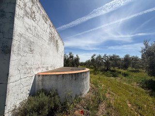 Terreno en venta en Aznalcázar