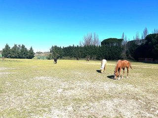 Terreno en venta en Laguna de Duero