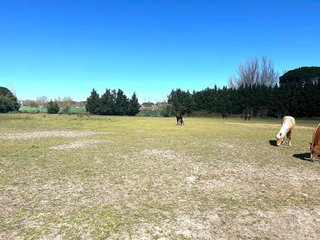 Terreno en venta en Laguna de Duero