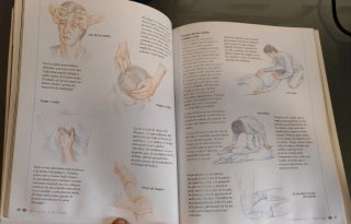 El libro del Shiatsu vitalidad y salud a través...