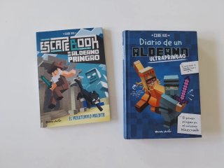 Libro Minecraft.