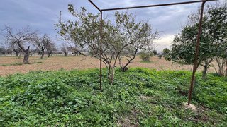 Casa rural en venta en Binissalem