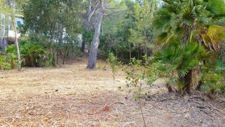 Terreno en venta en Pollença en Pollença