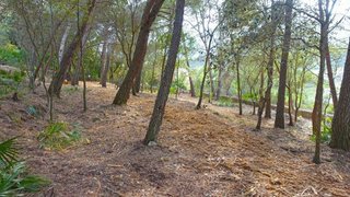 Terreno en venta en Pollença en Pollença