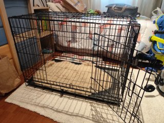 Jaula para perros negra y beige