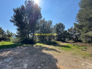 Terreno en venta en Las Pedrizas en Chiva