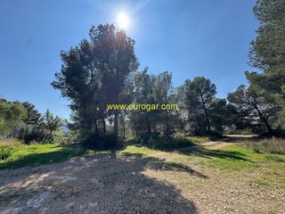 Terreno en venta en Las Pedrizas en Chiva