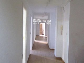 Oficina en alquiler en El Pla de Sant Josep - L'Asil en Elche
