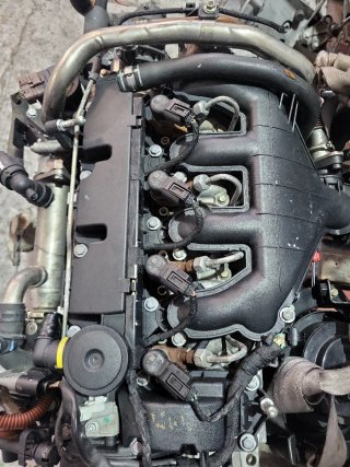 Motor 2.0 hdi Tipo RHK