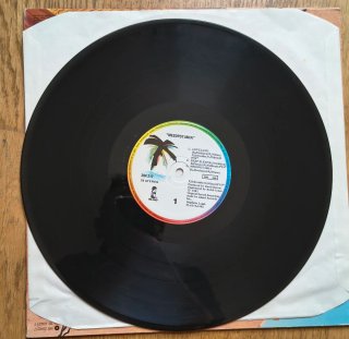Vinilo Mesopotamia de The B-52's