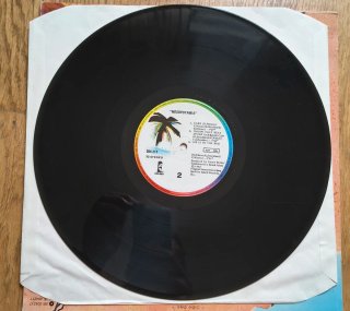Vinilo Mesopotamia de The B-52's