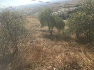 Solar en venta en Molar (El)