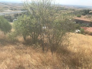 Solar en venta en Molar (El)
