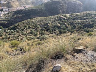 Terreno en venta en Macael