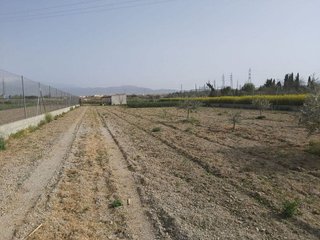 Terreno en venta en Residencial Triana - Barrio Alto en Gabias (Las)