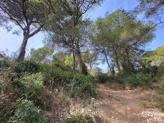 Terreno en venta en Segur de Calafell en Calafell