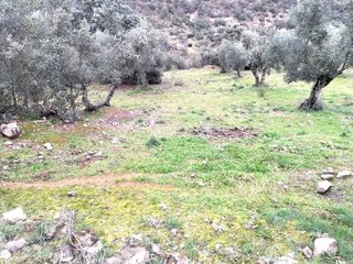 Terreno en venta en Villanueva del Rey