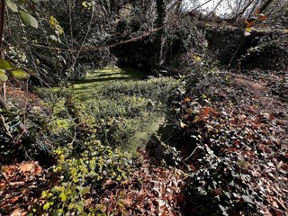 Terreno en venta en Jaraíz de la Vera