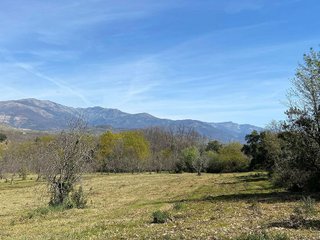 Terreno en venta en Jaraíz de la Vera