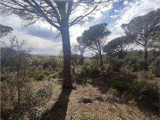 Terreno en venta en Caldes de Malavella