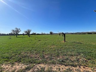 Terreno en venta en Campos