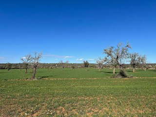 Terreno en venta en Campos