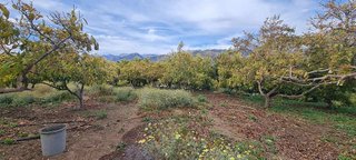 Chalet en venta en Almijara - Capistrano - Cueva de Nerja en Nerja