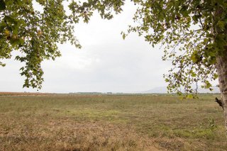 Chalet en venta en Pinos Puente
