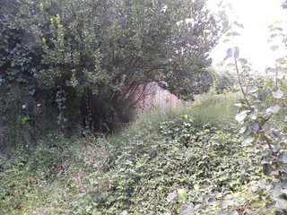 Terreno en venta en Cehegín