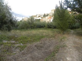 Terreno en venta en Cehegín