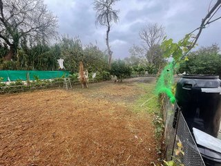 Terreno en venta en Barrios (Los)