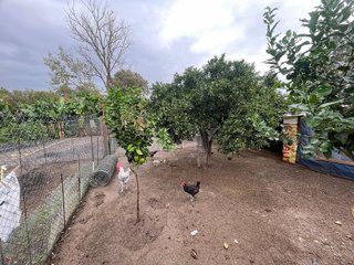 Terreno en venta en Barrios (Los)