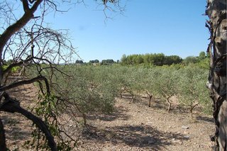 Chalet en venta en Caravaca de la Cruz