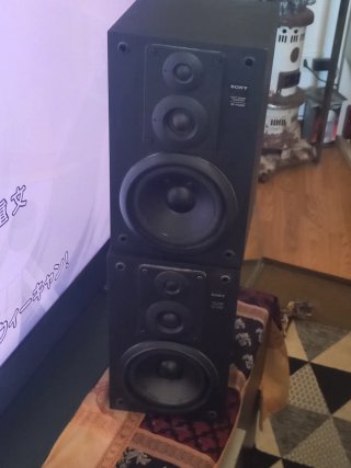 Giradischi Sony Sintonizzatore e amplificatore