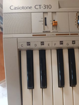 Sintetizador Casiotone CT-310