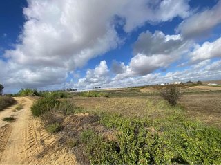Terreno en venta en Rociana del Condado