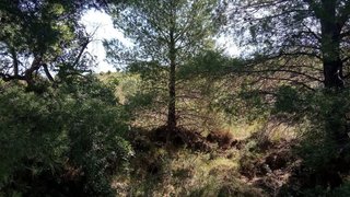 Solar en venta en Borriol