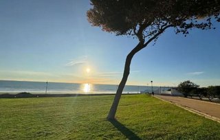 Local comercial en venta en Conil en Conil de la Frontera