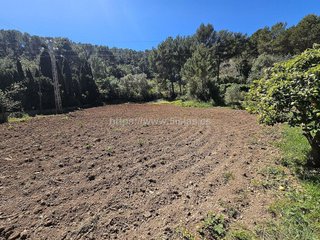 Terreno en venta en Establiments - Son Espanyol - Son Sardina en Palma de Mallorca