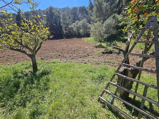Terreno en venta en Establiments - Son Espanyol - Son Sardina en Palma de Mallorca
