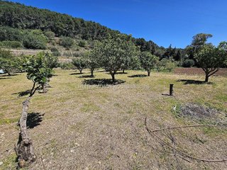 Terreno en venta en Establiments - Son Espanyol - Son Sardina en Palma de Mallorca