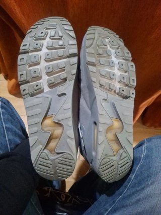 Zapatillas Nike Air Max Gris