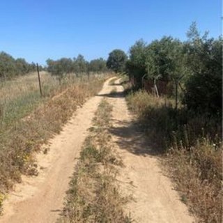 Terreno en venta en Rociana del Condado