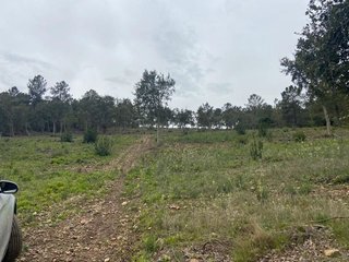 Terreno en venta en Valencia de Alcántara