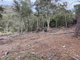 Terreno en venta en Valencia de Alcántara