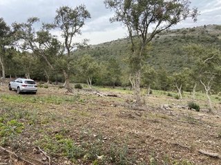 Terreno en venta en Valencia de Alcántara