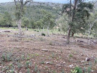 Terreno en venta en Valencia de Alcántara