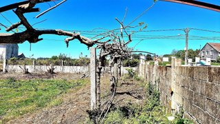 Terreno en venta en Sada